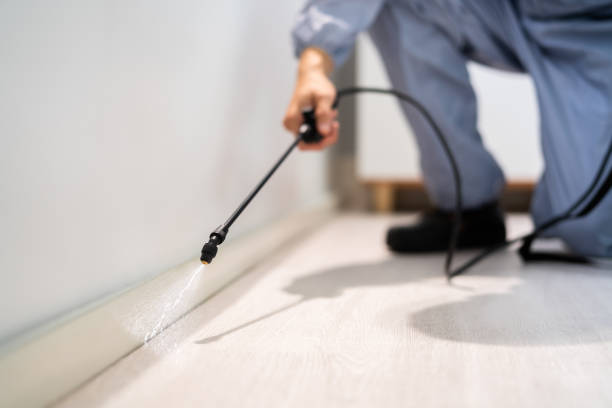 Licensed Cockroach Control service in Evansdale, IA - Nex Pest Control