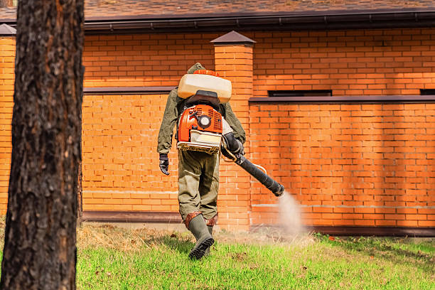 Trusted Cockroach Control service in Evansdale, IA - Nex Pest Control